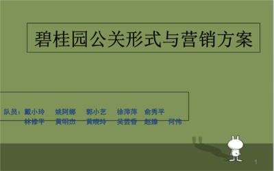 碧桂园营销详尽方案与公关活动策划
